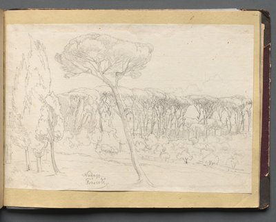 ローマとその周辺の景色を含むアルバム、風景研究、46aページ：フラシチ。 作： Franz Johann Heinrich Nadorp