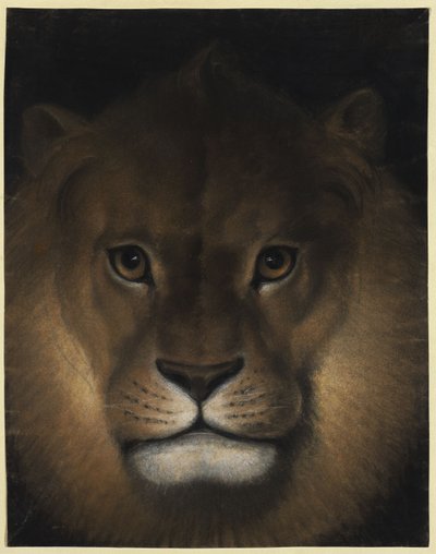  作： Franz Krüger