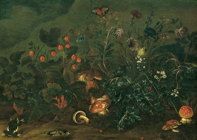 イチゴとコオロギの芝生 作： Franz Michael Siegmund von Purgau d. Ä.