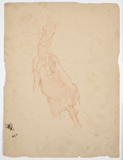 育成馬の研究 作： Franz von Matsch