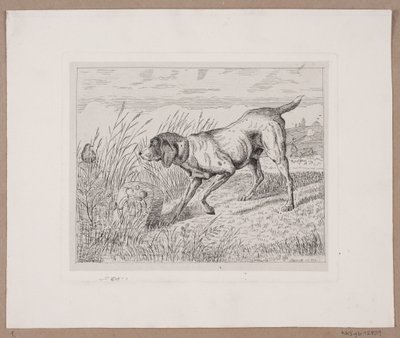 猟犬 作： Frede Aamodt