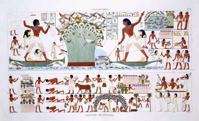 フレデリック・カイヨー（1787-1869）、カラーリソによるエジプトへの2回目の訪問で、1819-1822年に記録されたテーベからのフレスコ画のまれな記録から、死者のために食べ物を準備する 作： Frederic (after) Cailliaud