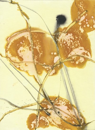 作： 