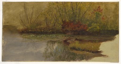 池の隅 作： Frederic Edwin Church