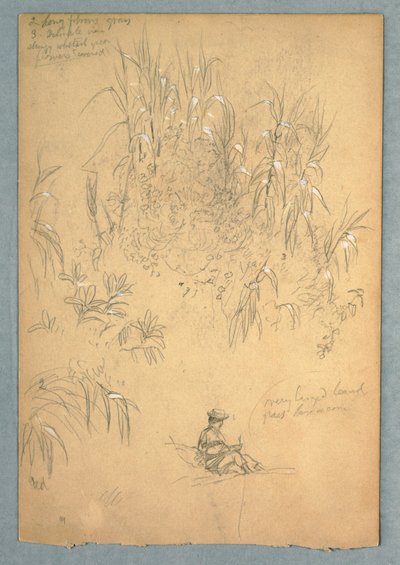 座っている男性と植物群の詳細な研究、エクアドル 作： Frederic Edwin Church