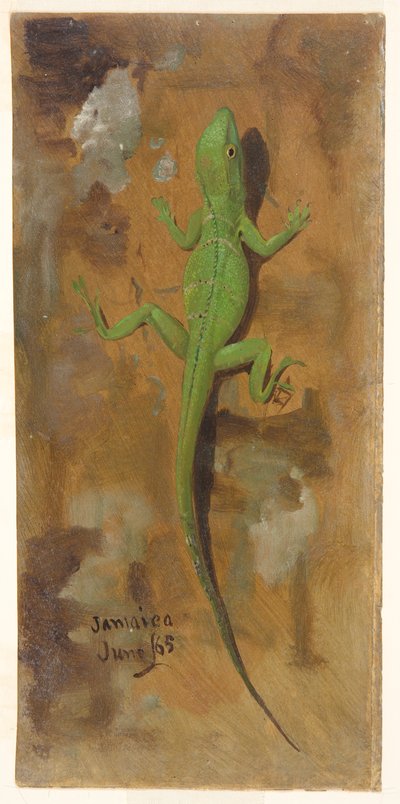 トカゲ、ジャマイカ 作： Frederic Edwin Church
