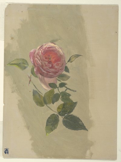 バラの枝 作： Frederic Edwin Church