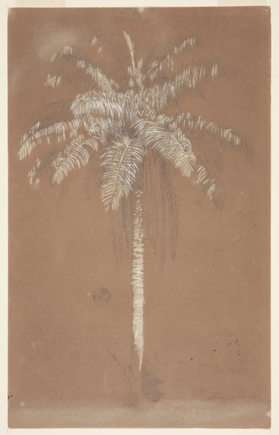 パム、やめて。 サルス、ジャマイカ 作： Frederic Edwin Church