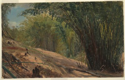 竹林、ジャマイカ 作： Frederic Edwin Church