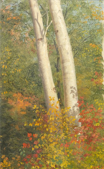 秋の白樺の木 作： Frederic Edwin Church