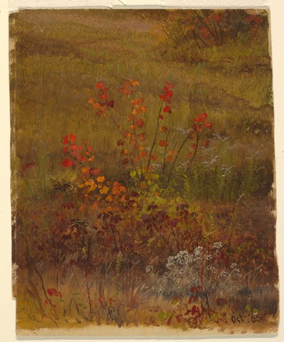植物学 作： Frederic Edwin Church