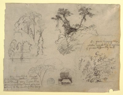 おそらくコロンビアからの植物学と家 作： Frederic Edwin Church
