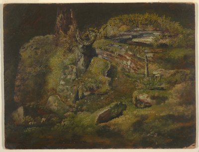 森の中のボルダー 作： Frederic Edwin Church