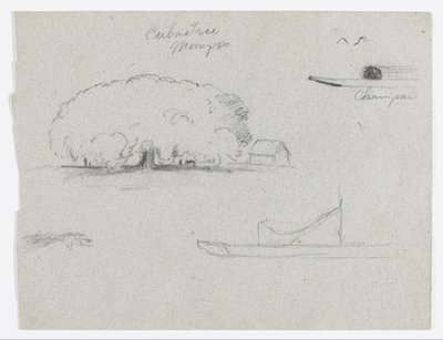 モンポスのセイバの木、チャンパンのカヌー、木々、部分的なボート、リオ・マグデレナ、コロンビア 作： Frederic Edwin Church