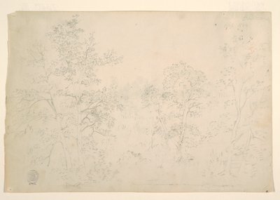 水辺の栗の木 作： Frederic Edwin Church