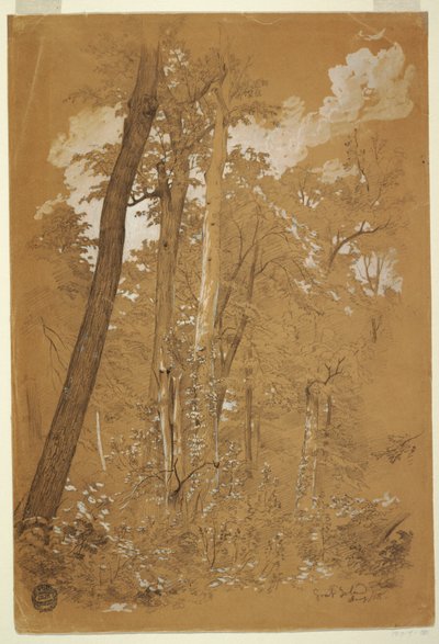 ヤギ島、ナイアガラ川、ニューヨークの栗の木 作： Frederic Edwin Church