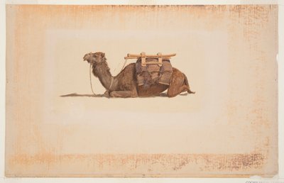 しゃがむヒトコブラクダ 作： Frederic Edwin Church