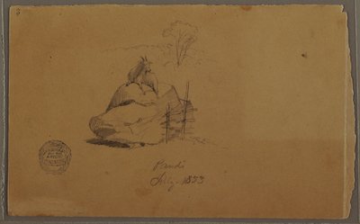 デッサン、パンディのヤギ、コロンビア、1853年7月 作： フレデリックエドウィン教会