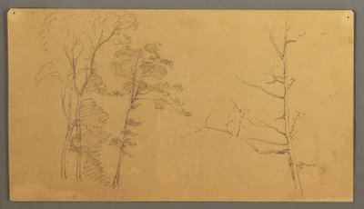 デッサン、枯れ木の上部を持つ樹木群、1866年 作： Frederic Edwin Church
