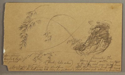 デッサン、竹のような小枝、おそらく1865-66年 作： フレデリックエドウィン教会