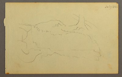 デッサン、木の根元、岩、1844年 作： Frederic Edwin Church