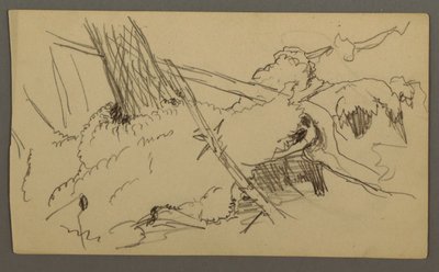 デッサン、木の根元、玉石、1877年頃か 作： フレデリックエドウィン教会