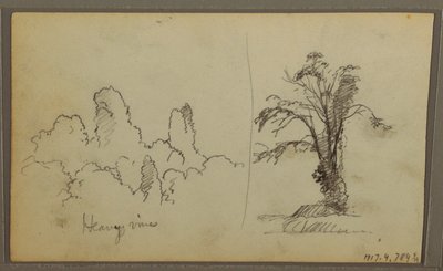 素描、ビレッズ「パナマ湾の岩」、裏面は「重い蔓」、1857年5月15日 作： Frederic Edwin Church