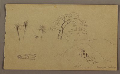素描、植物スケッチ、人物、1865年5月-8月 作： フレデリックエドウィン教会