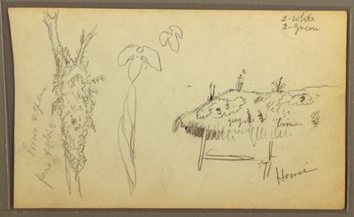 素描、植物スケッチ、家；植物スケッチ、1857年 作： フレデリックエドウィン教会