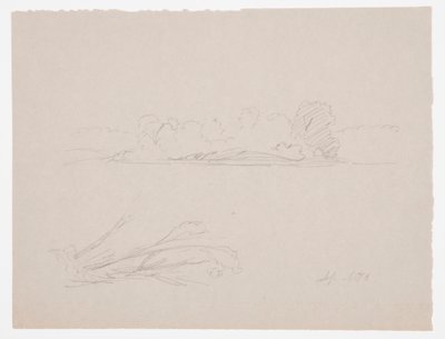 素描、植物スケッチ：風景、海岸の木々、1876年9月 作： フレデリックエドウィン教会