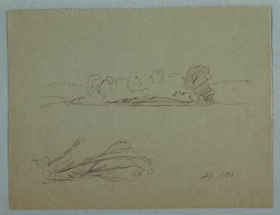 素描、植物スケッチ：風景、海岸の木々、1876年9月 作： フレデリックエドウィン教会