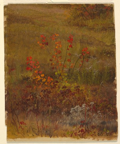 素描、植物学、1865年10月 作： Frederic Edwin Church