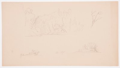デッサン、植物スケッチ：木、海岸の木々、1876年9月 作： Frederic Edwin Church