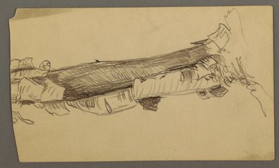 枯れ木の幹の下部の断面図、1877年 作： フレデリックエドウィン教会