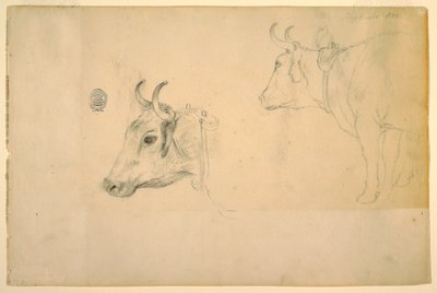 デッサン、牛、1844年9月 作： フレデリックエドウィン教会