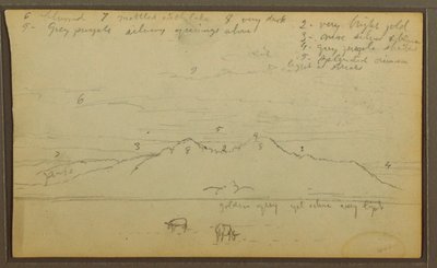 素描「風景の中の牛」、裏面は竹、1857年 作： Frederic Edwin Church