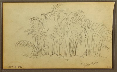 素描「風景の中の牛」、裏面は竹、1857年 作： フレデリックエドウィン教会