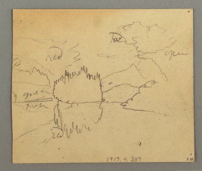 デッサン、枯れ木、植物、おそらく1868年 作： Frederic Edwin Church
