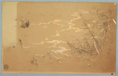 デッサン、カナディアン・バンクの端の詳細図、1858年8月 作： Frederic Edwin Church