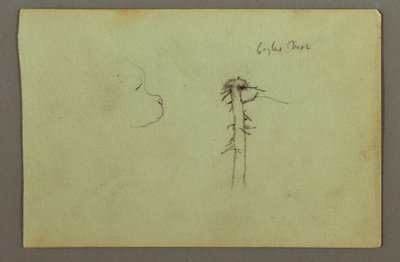 デッサン、犬の頭、木の上の鷲の巣、1856年頃か 作： フレデリックエドウィン教会