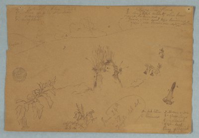 デッサン、デッサン  エクアドル、キト近郊での植物と雲のスケッチ、1857年6月24日 作： Frederic Edwin Church
