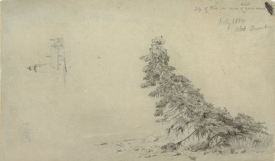 1850年7月、メイン州マウント・デザート、灯台と家の細部が描かれた海岸近くのエバーグリーン・ツリー。 作： フレデリックエドウィン教会