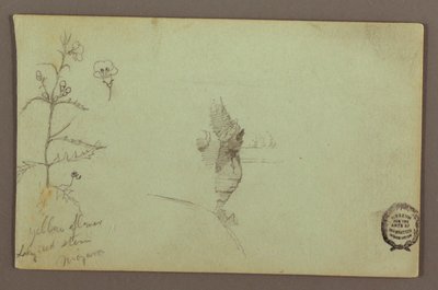 図面、ナイアガラのアメリカ滝とカナダ滝の間にある花と岩、1858年頃か 作： フレデリックエドウィン教会
