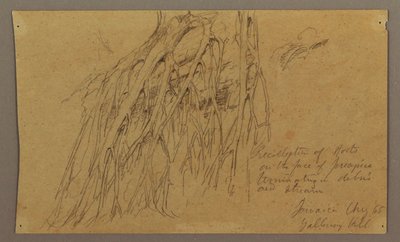 ドローイング、ゴールウェイ・ヒル、1865年8月 作： Frederic Edwin Church
