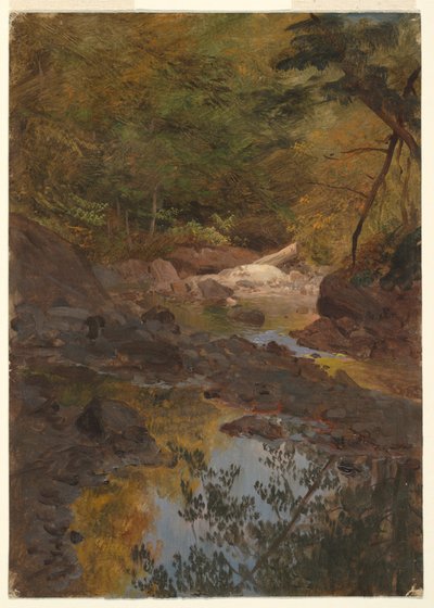 素描『ニューイングランドの森で』1855-65年 作： Frederic Edwin Church