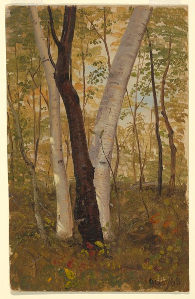 ドローイング、森の中、ニューヨーク州ハドソン、1865年10月 作： Frederic Edwin Church