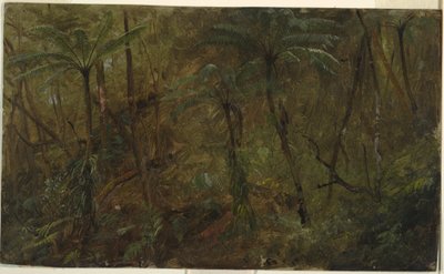 デッサン、ジャマシアの森にて、西インド諸島、1865年 作： Frederic Edwin Church