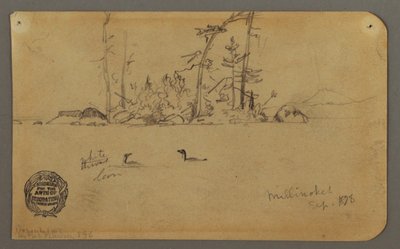 ドローイング、島、2羽のハシビロコウ、1878年 作： Frederic Edwin Church
