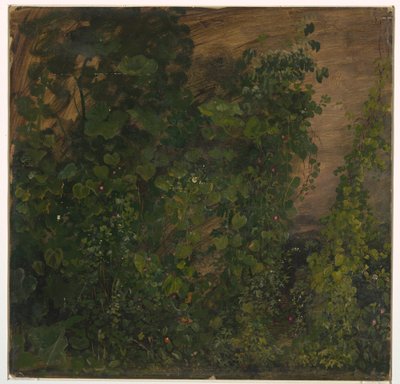 ドローイング、ジャングル植生、1865年 作： Frederic Edwin Church