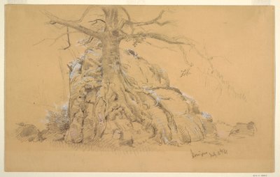 1868年7月16日、ケーニヒスゼーの木のデッサン 作： Frederic Edwin Church